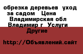 обрезка деревьев, уход за садом › Цена ­ 100 - Владимирская обл., Владимир г. Услуги » Другие   